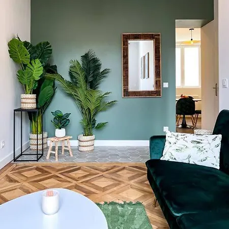 Hyper-centre De Grenoble, Ambiance Tropicale, Wifi Fibre Grenoble